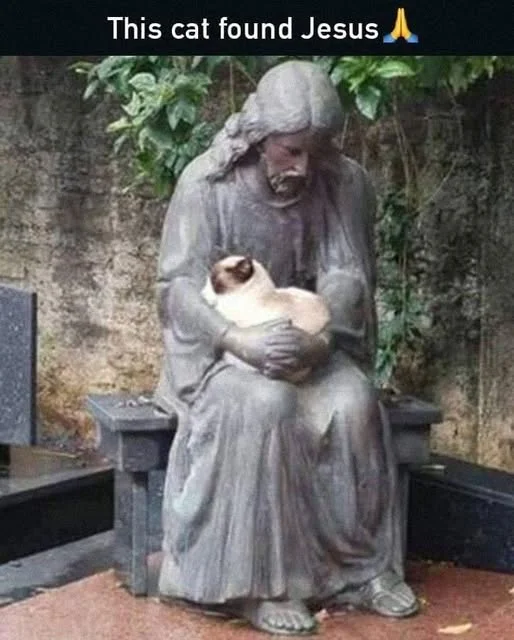 1786014684958.webp