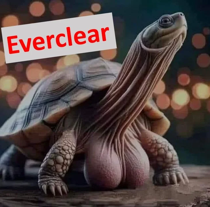 everclear Presentation1ever.webp