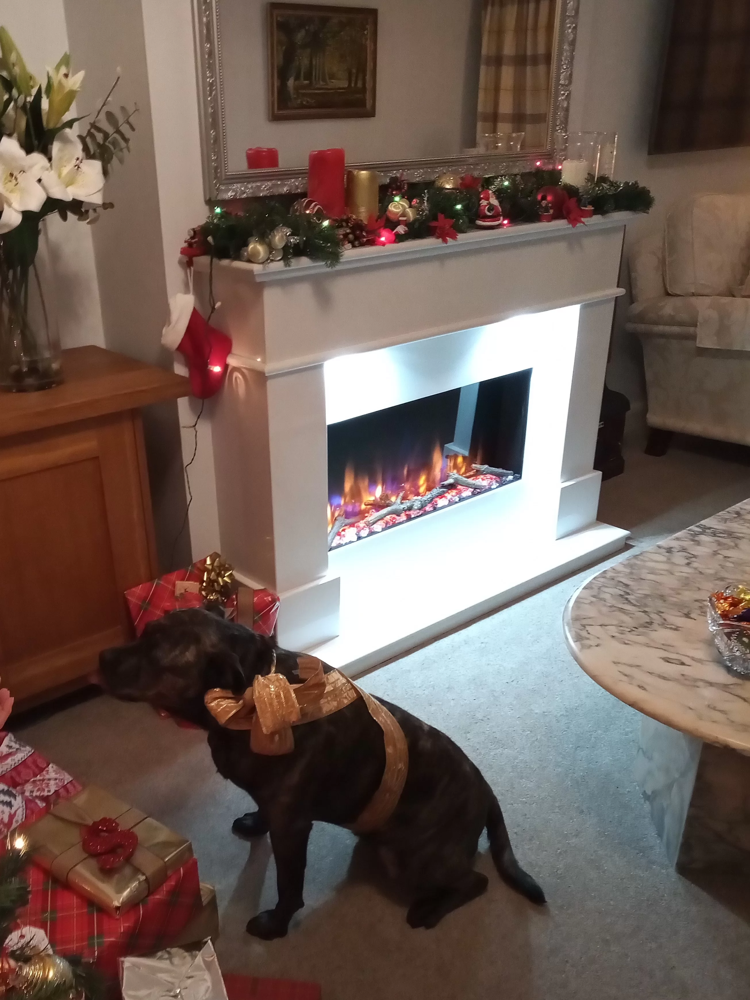 Xmas Pooch.webp