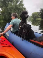 IMG-20190728-WA0004.webp