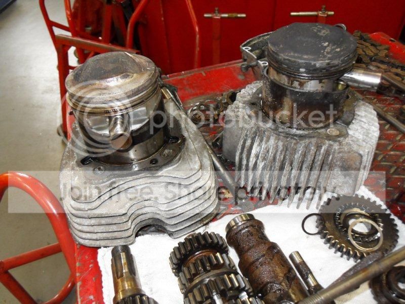 SDC12517.jpg