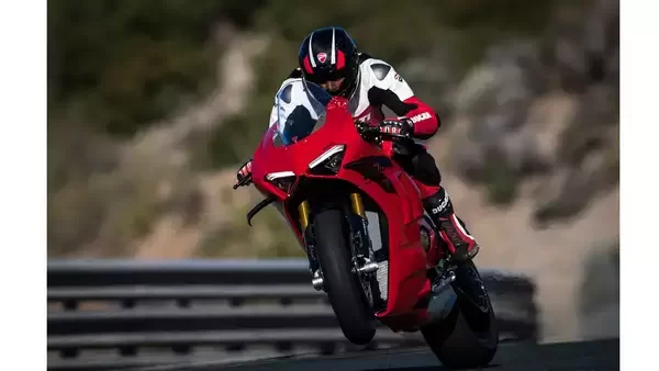1668283576307.webp