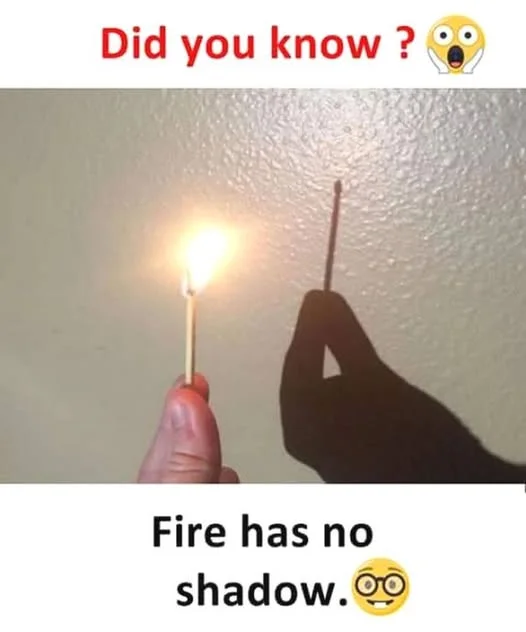 1746707712066.webp