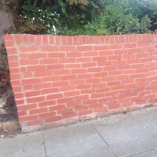 1778530220628.webp