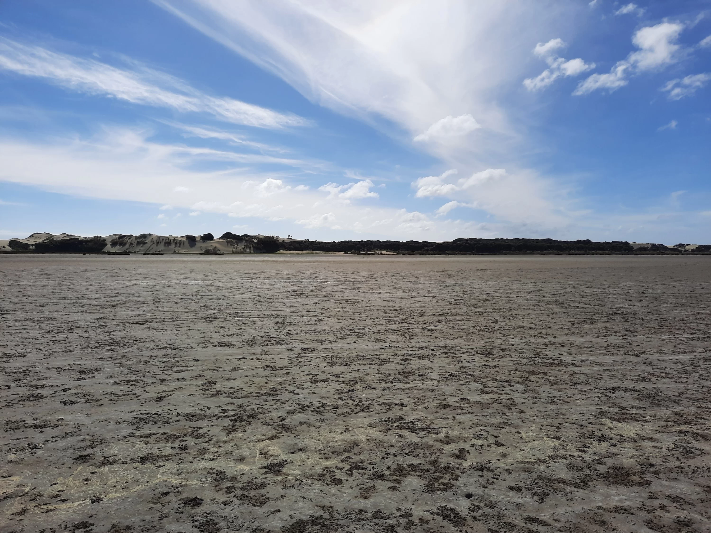 20201211_165100_copy_3000x2250.webp
