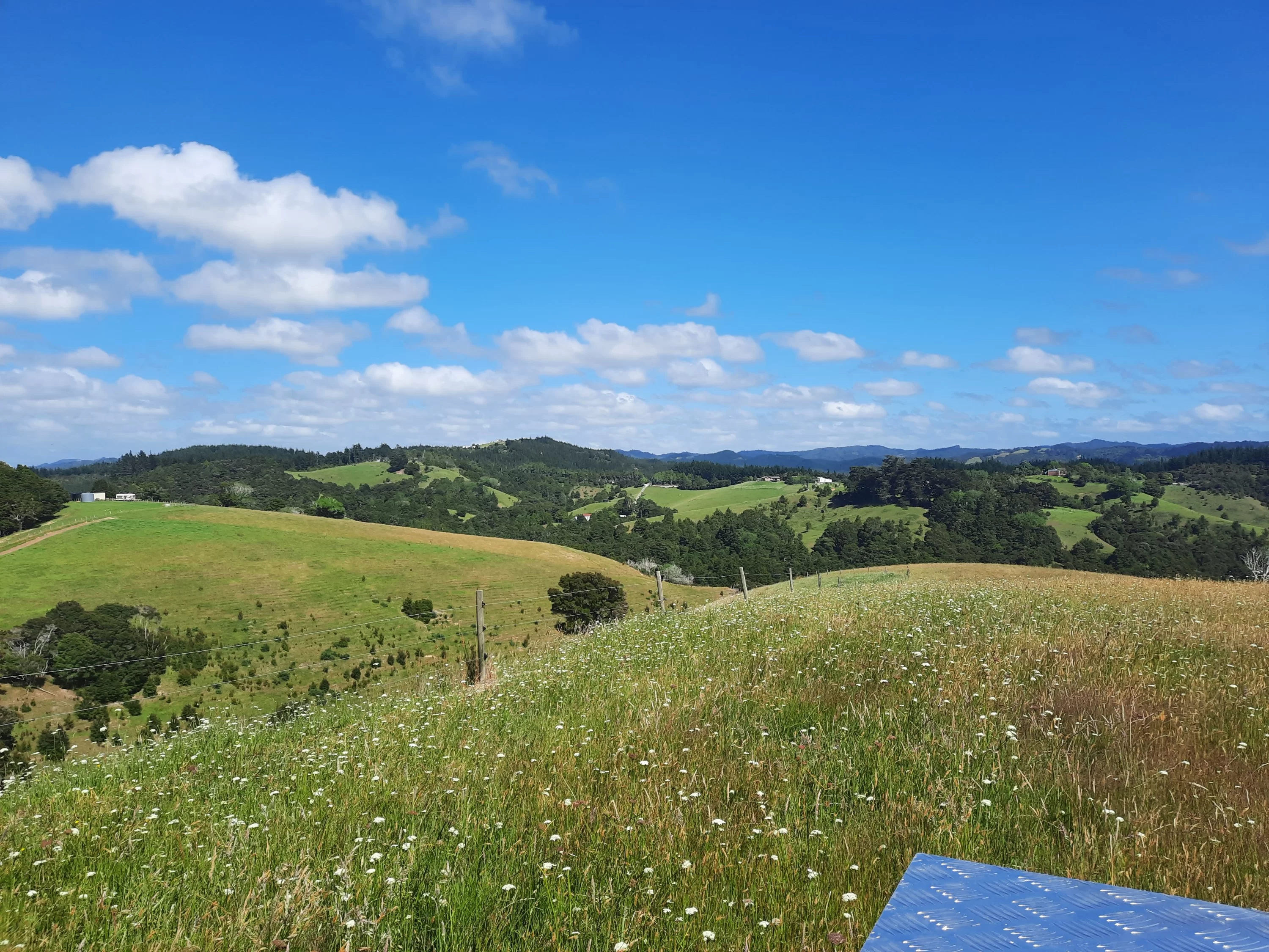 20201214_100949_copy_3000x2250.jpg