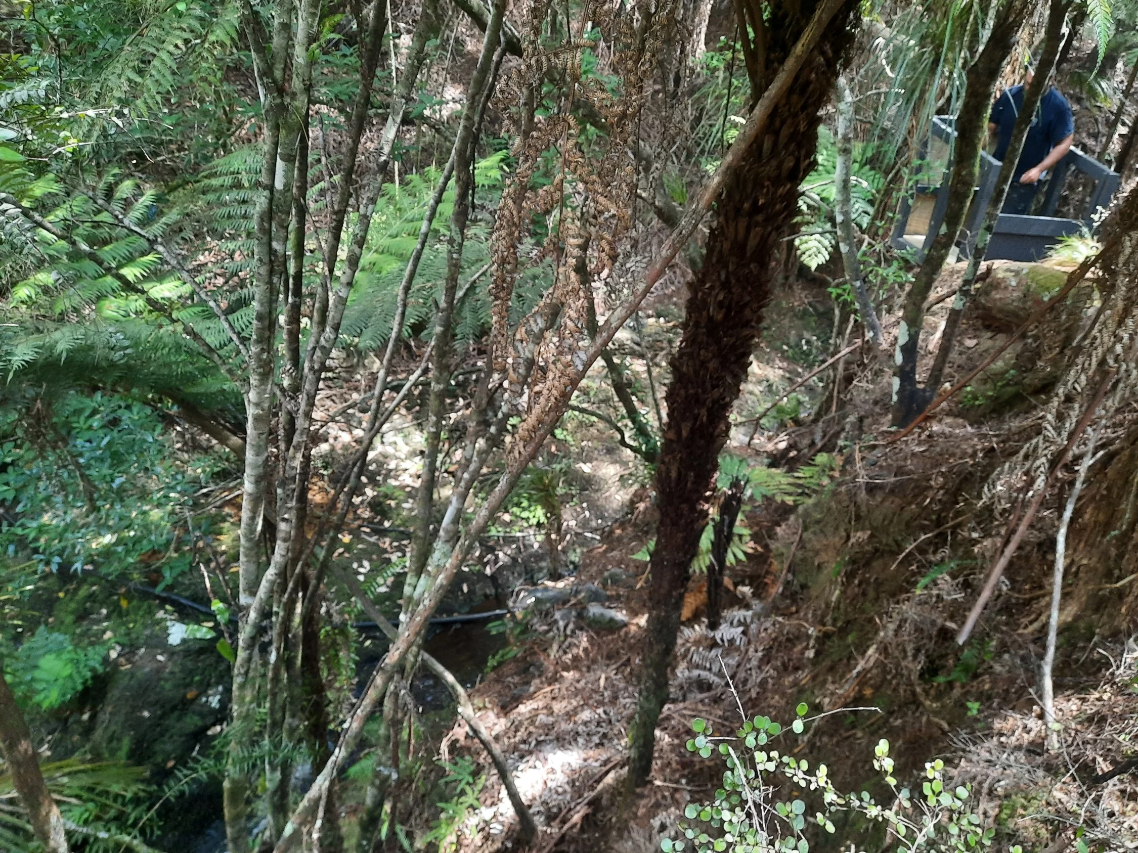 20210114_114826_copy_2250x1687.webp