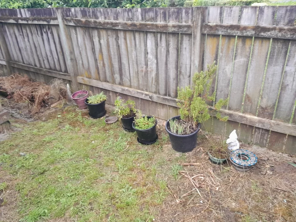 20231203_102647.jpg