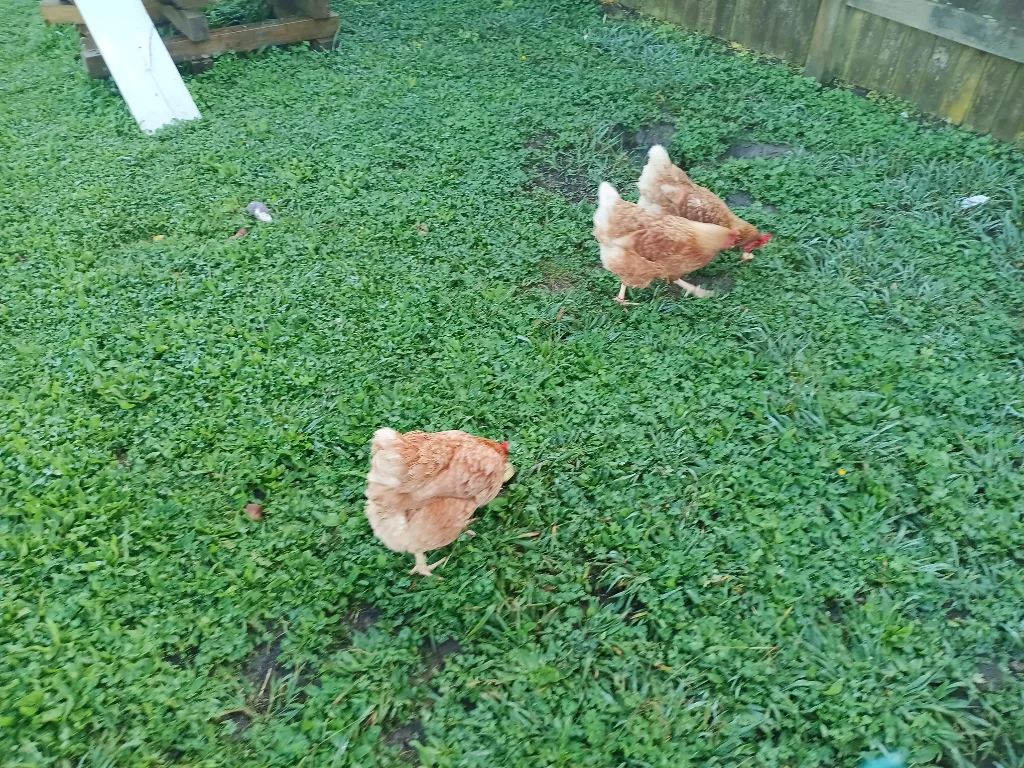 20260509_080225.webp