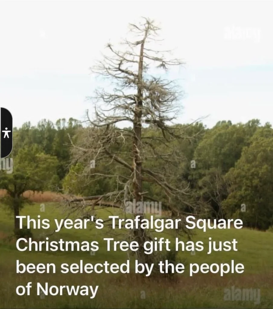 3861e516-1925-4ab6-84ba-d43a9bc97373.webp