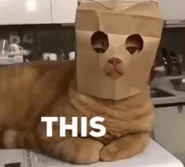 6AE25335-6C94-4D1A-B0CB-58EFA150308B.gif