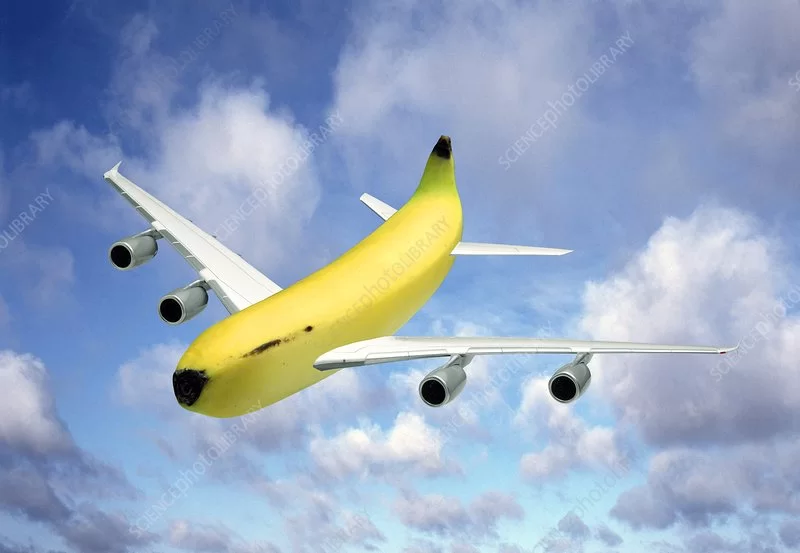 800wm.jpg