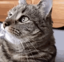 84318DEF-AFC5-4094-9C77-046A146577BA.gif