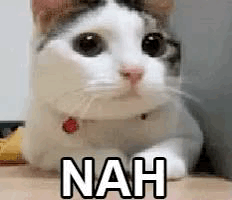 8D88694A-D81E-4B11-84CE-24E66483ED3E.gif
