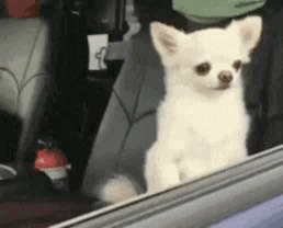 Andyb.GIF