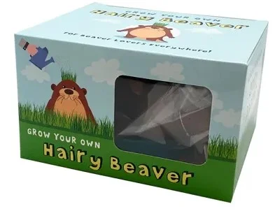beaver.webp