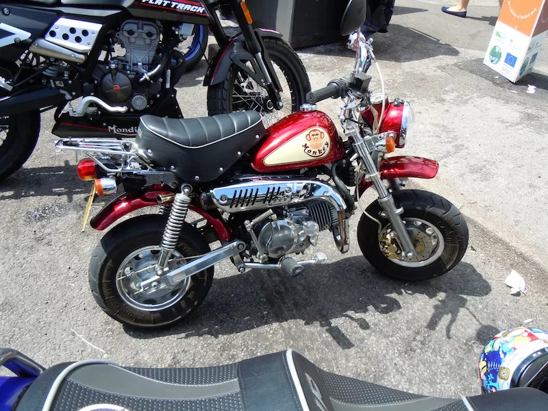 DSCN4033.webp