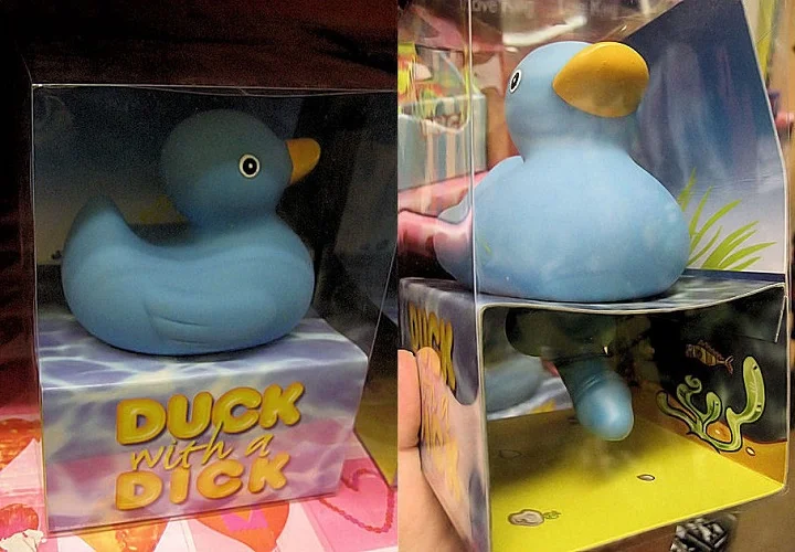 duck-09.webp