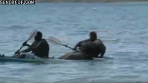 fat-guy-in-a-row-boat.gif