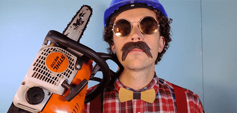 giphy (1).gif