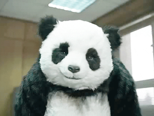 giphy (2).gif