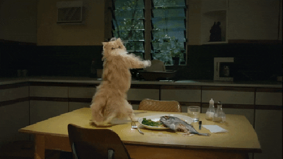 giphy (3).gif