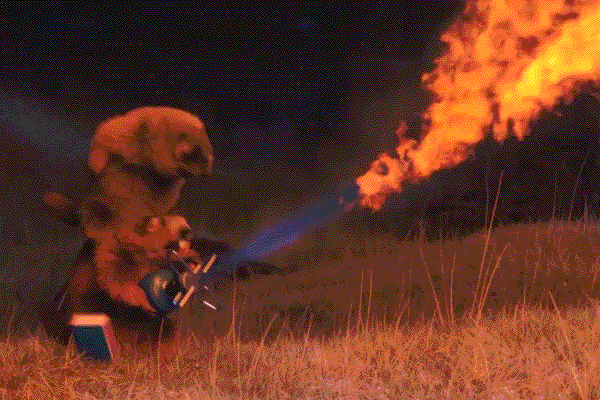 giphy (9).gif