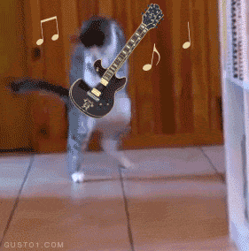 giphy.gif