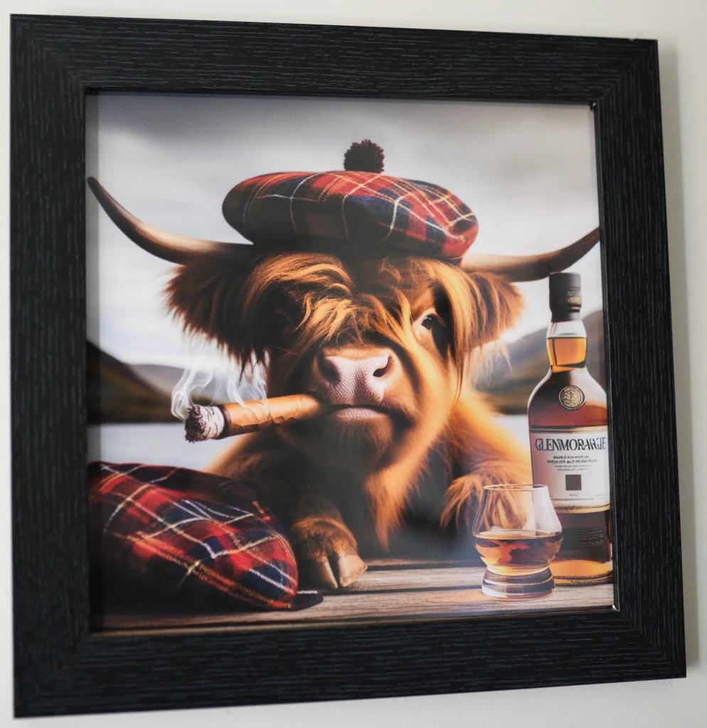 hairy-coo (2).webp