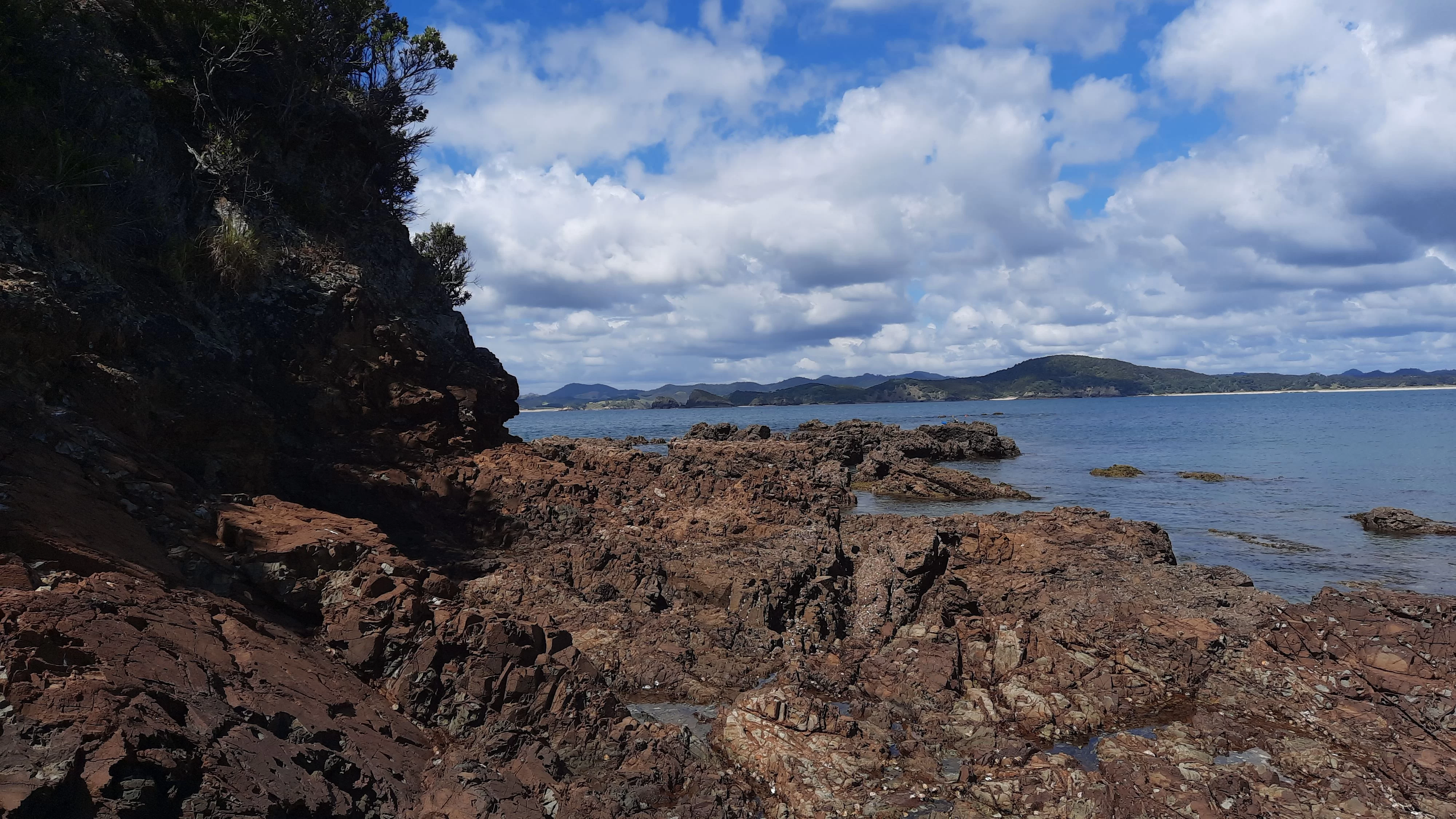 IMG-20210110-WA0002.webp