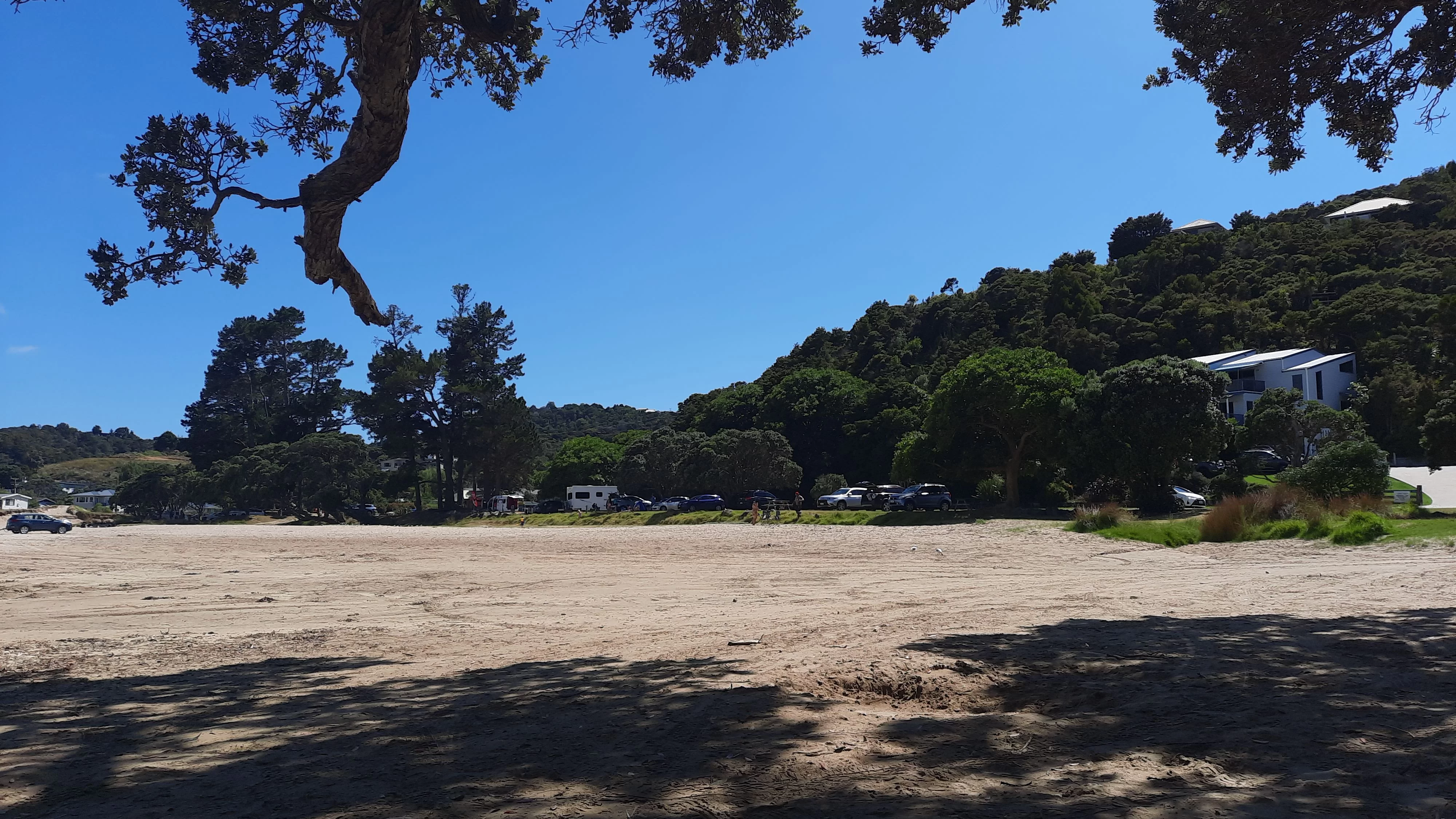 IMG-20210110-WA0009.webp