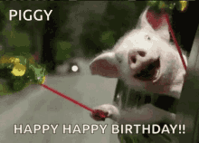 IMG_4803.gif