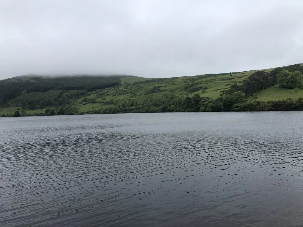 IMG_6041.jpeg