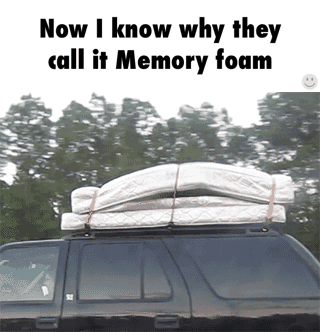 memory foam.gif