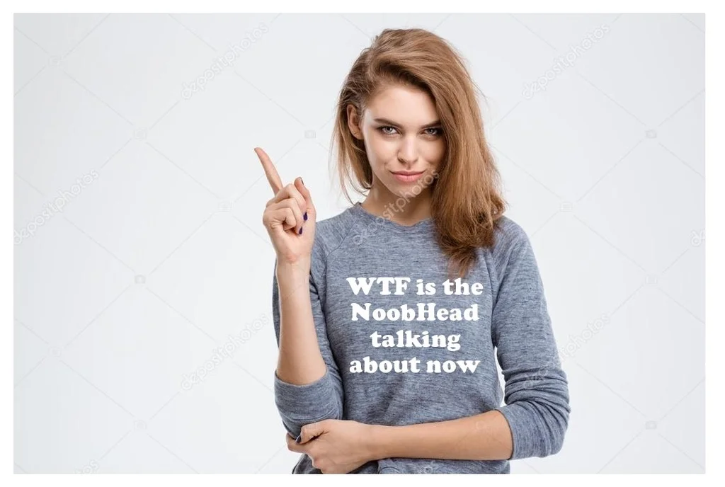 NoobHead.webp