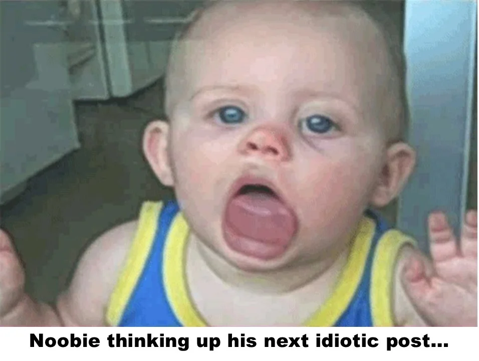 Noobie the Window Licker.webp