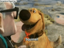 squirrel.gif