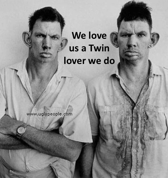 Twinlover lovers.webp
