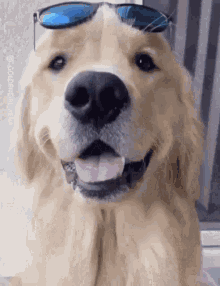 what-a-sunny-day.gif