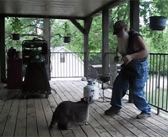 ZOOlnnB.gif