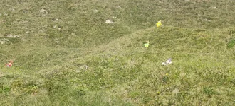 IMG_20260408_170416.webp