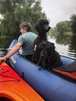 IMG-20190728-WA0004.webp