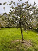 IMG_6296.webp