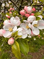 IMG_6294.webp