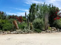 IMG-20201212-WA0089.webp