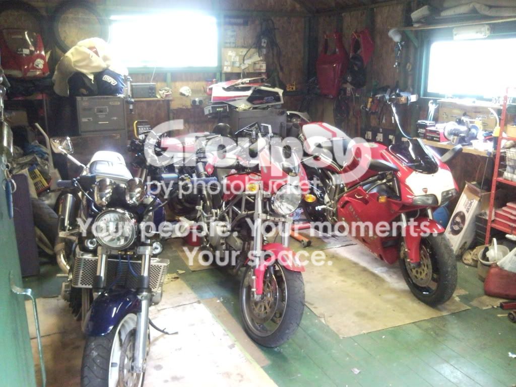 SNC00569.jpg