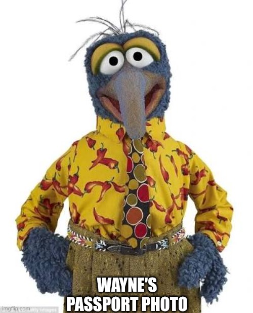 axs7kd.jpg